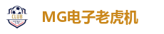 MG电子游戏平台｜经典与创新兼备的电子游艺殿堂